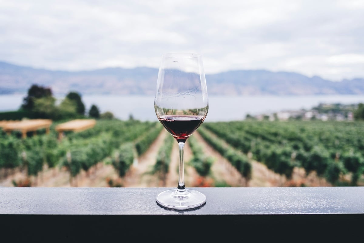 Welcome to Pop & Pour!